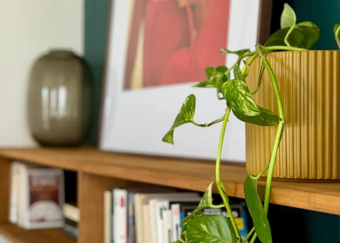 Apartmán Sunny On D-day With Parking